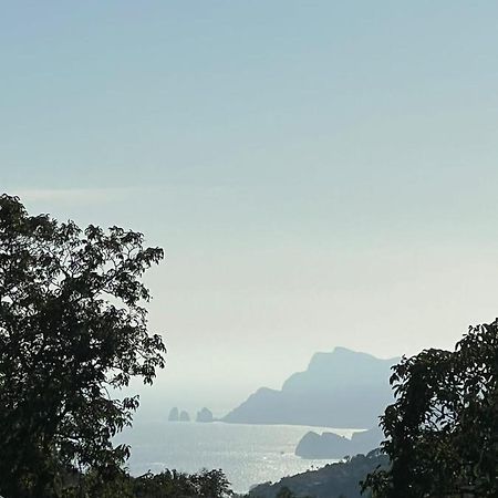 B&B La Veronica Pianillo Buitenkant foto